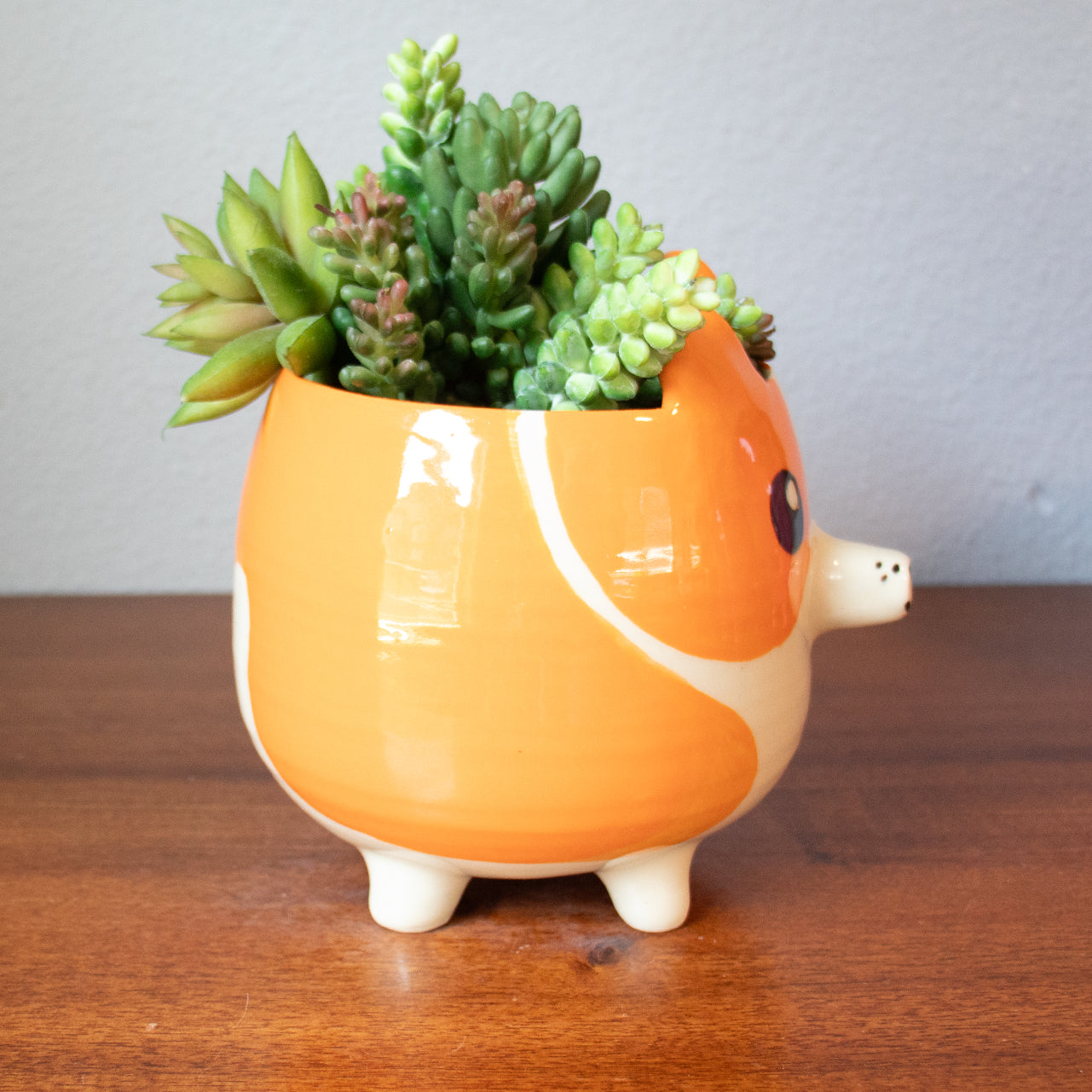Custom Corgi Ceramic Planter