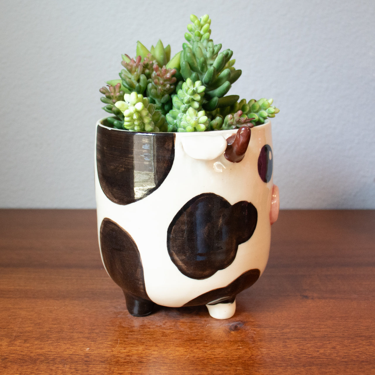 Custom Cow Ceramic Planter