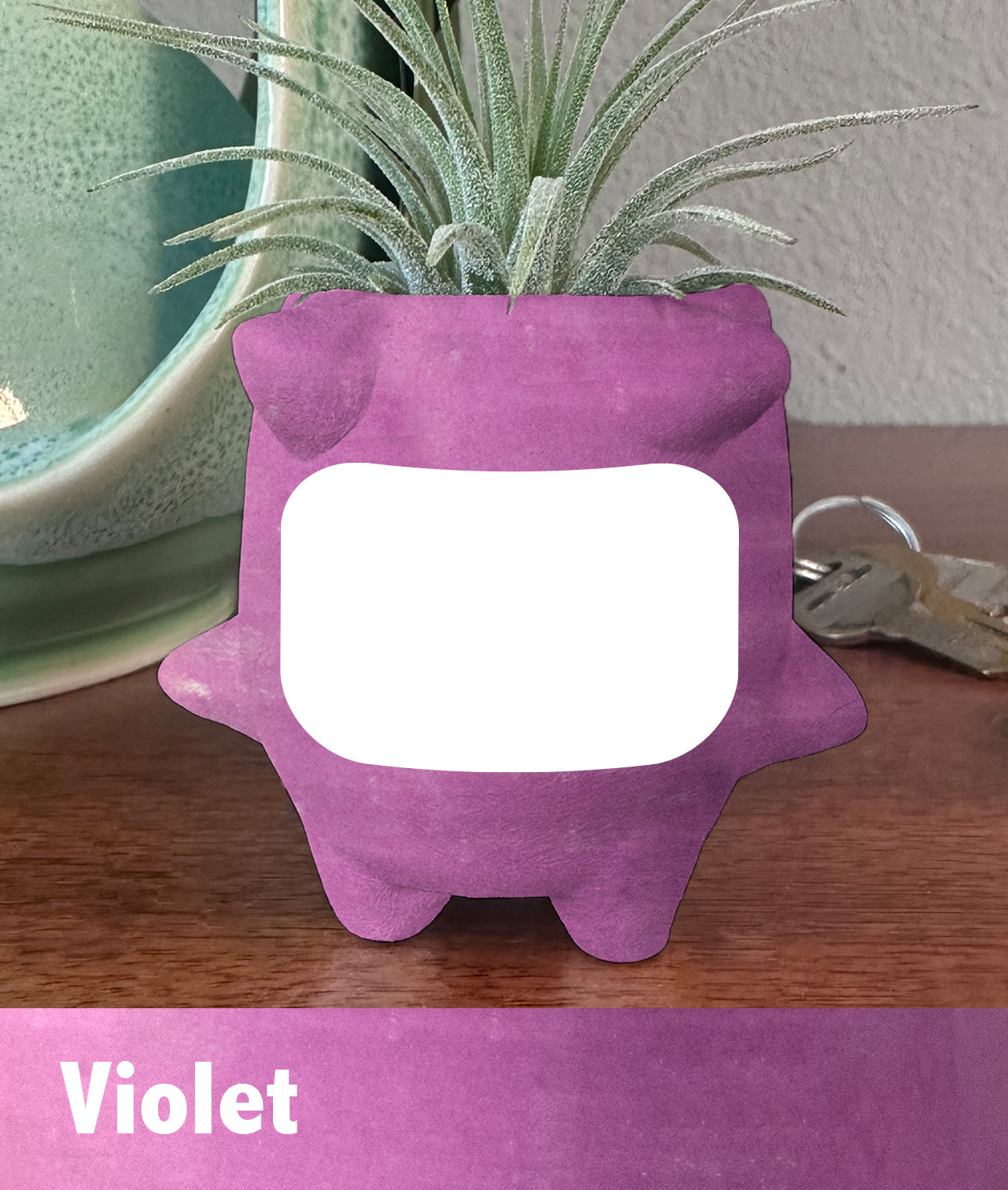 Custom Mini Planter