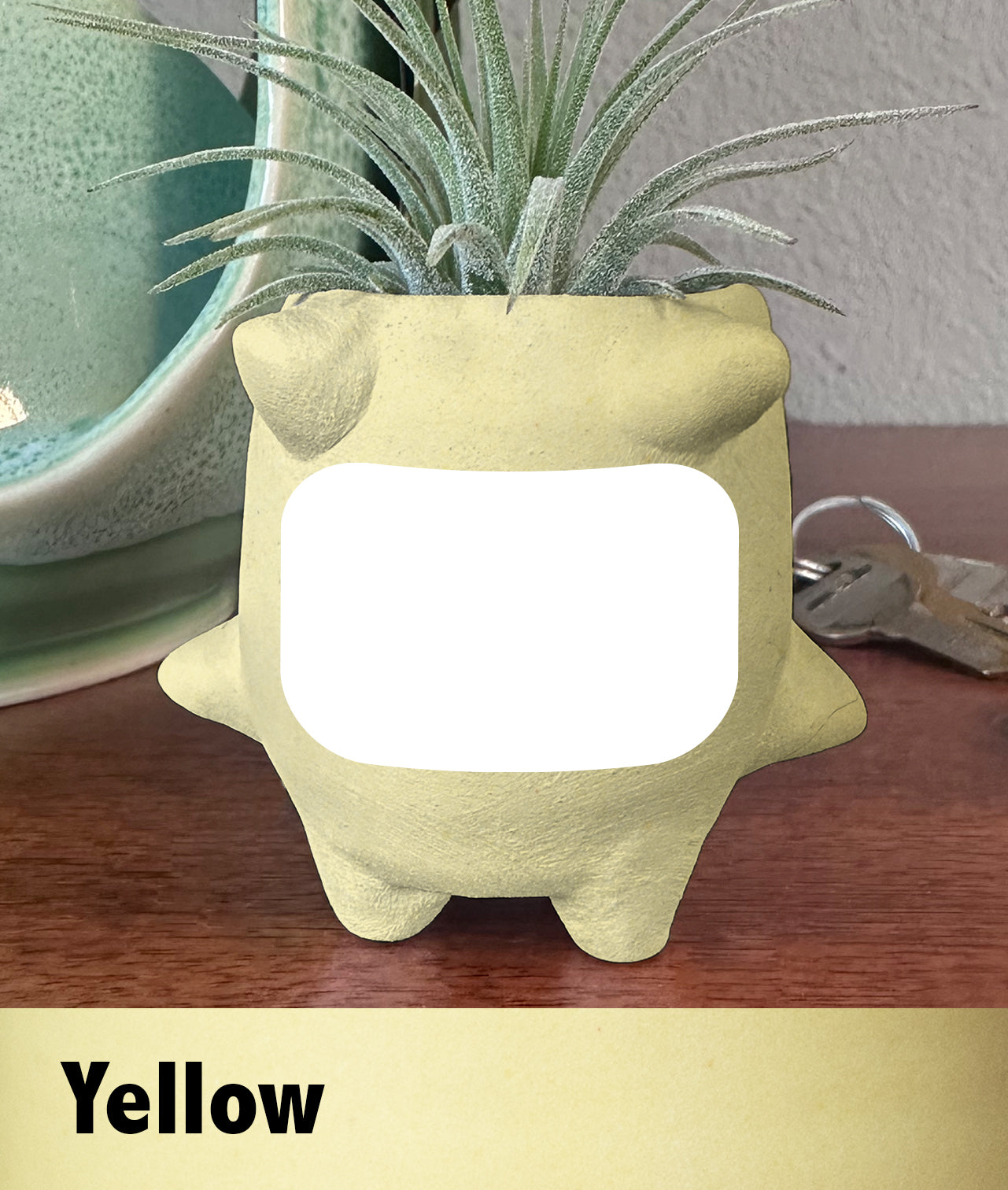 Custom Mini Planter