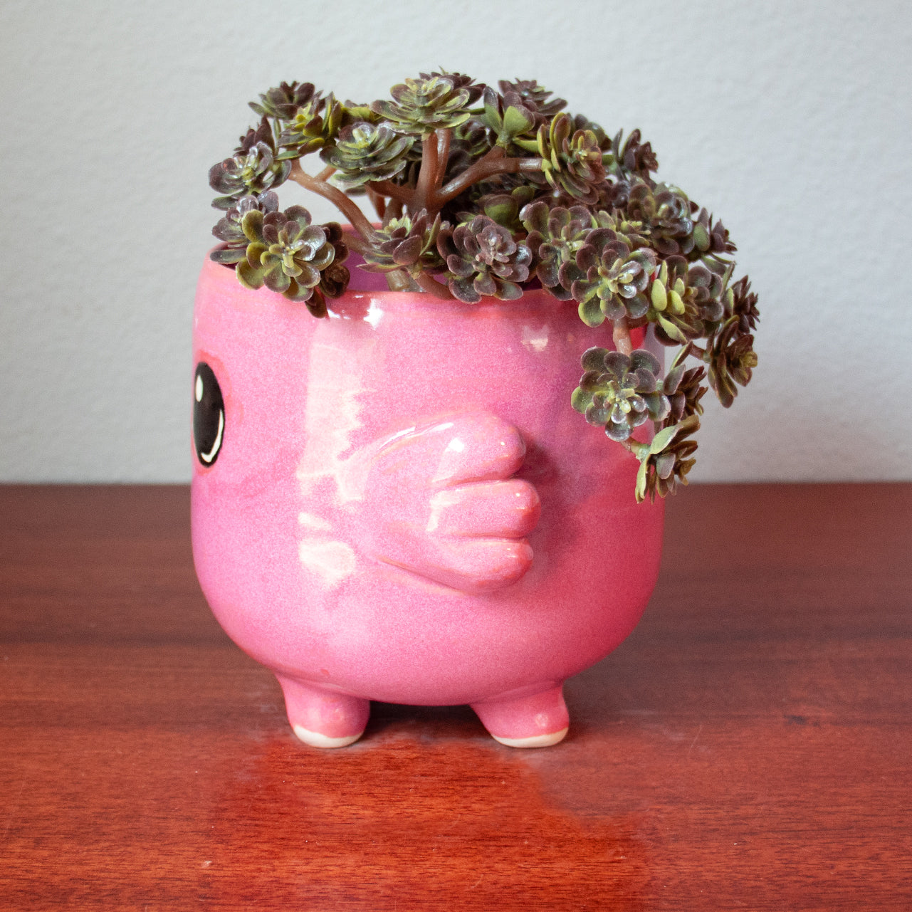 Custom Axolotl Animal Planter