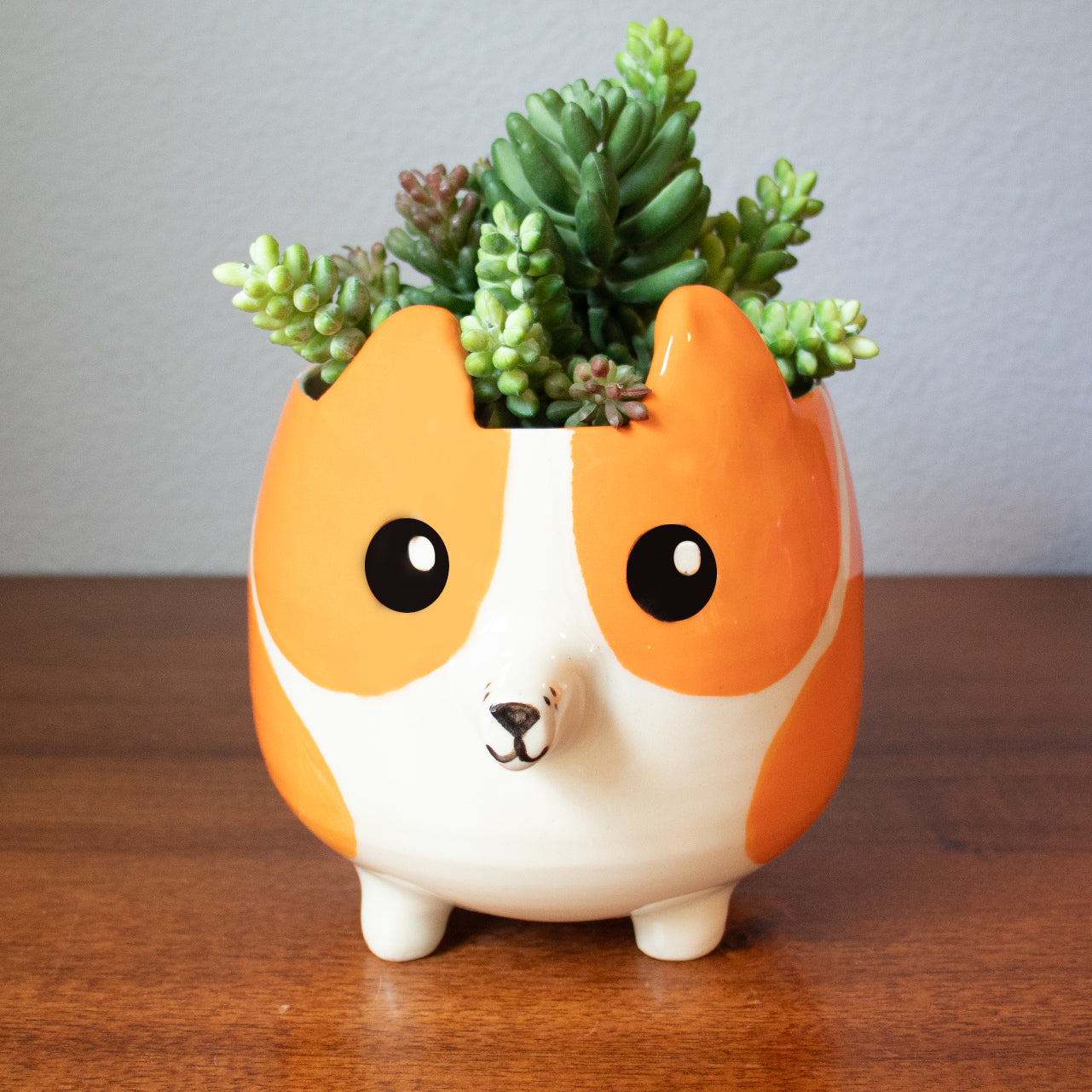 Custom Corgi Ceramic Planter