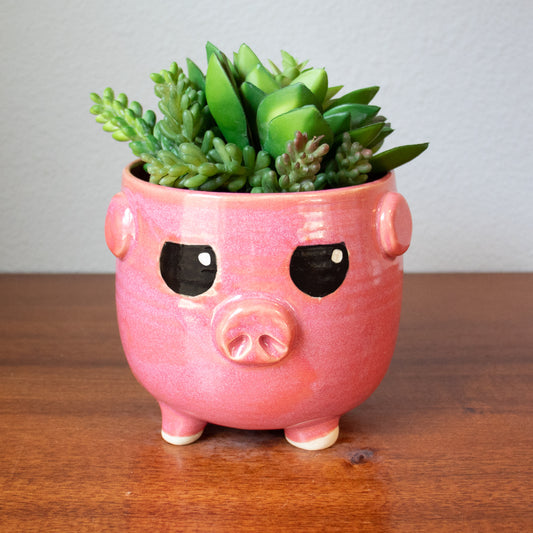 Custom Pig Ceramic Planter