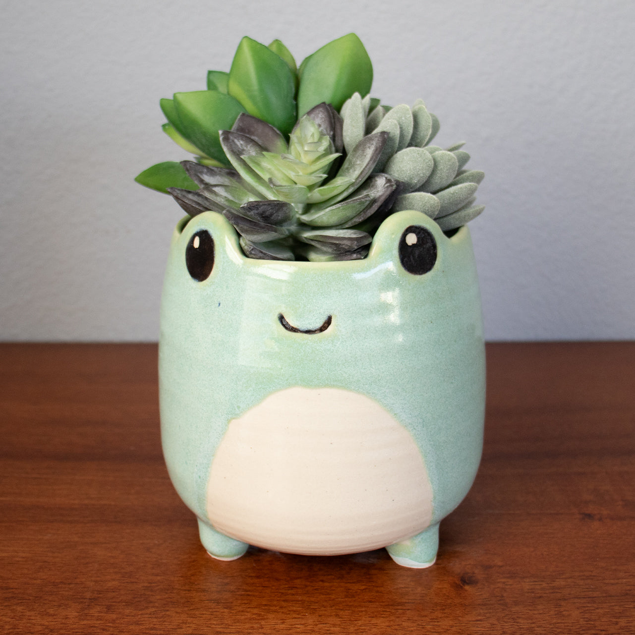 Custom Frog Ceramic Planter