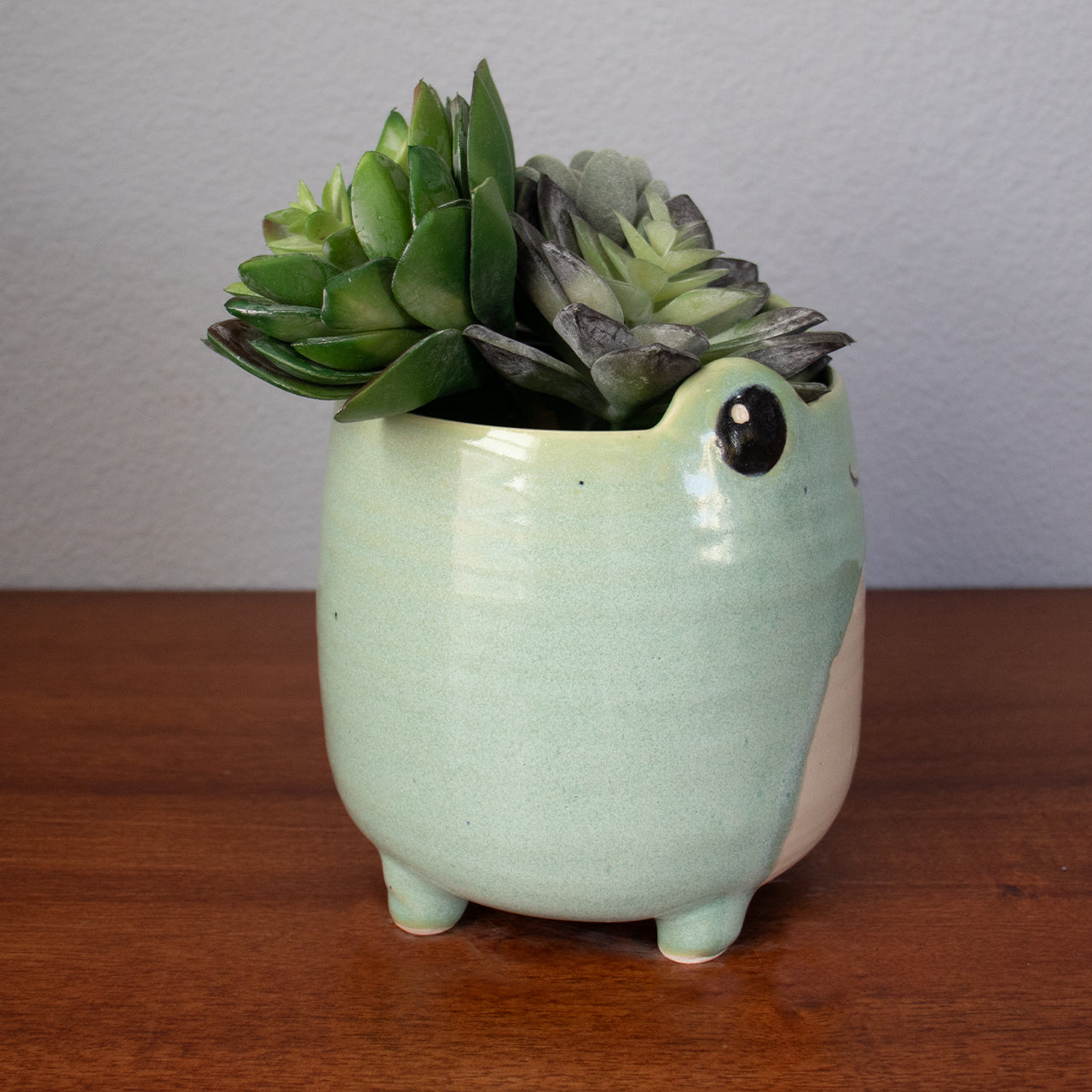 Custom Frog Ceramic Planter