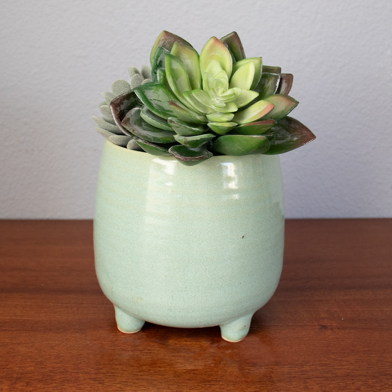 Custom Frog Ceramic Planter