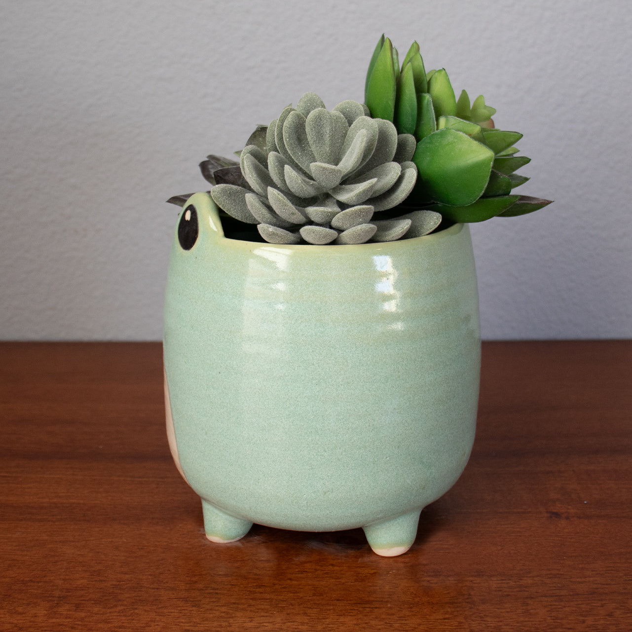 Custom Frog Ceramic Planter